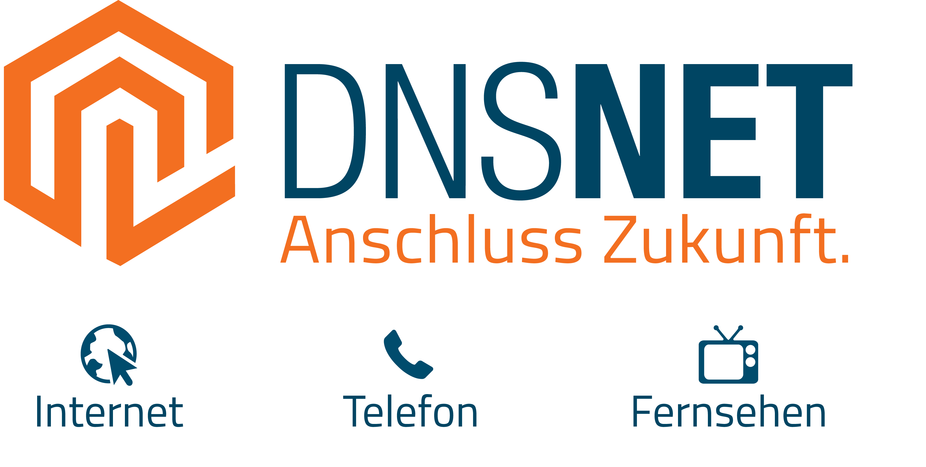 DNS:NET-Logo